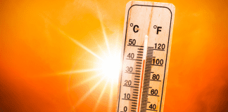 Triple Digit Temperatures: How The City is Offering Help