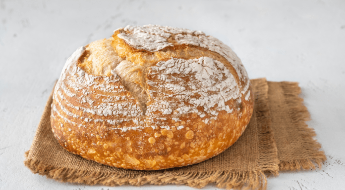 Sourdough 101 :: How to Get Started